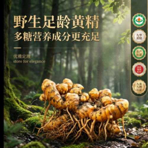 品牌VI案例展示